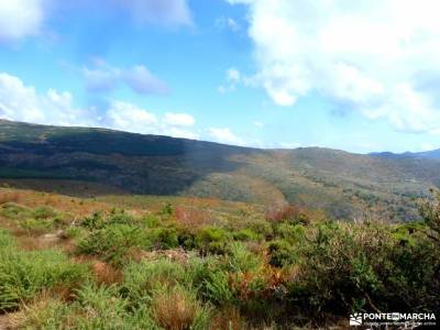 Dehesa Bonita-Abedular Somosierra;pico del alba rutas senderismo la rioja rutas vall de nuria